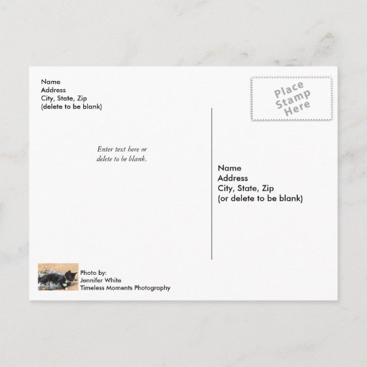 Carte postale Tuxedo Kitten Tinsel et Lights (Dos)