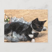 Carte postale Tuxedo Kitten Tinsel et Lights (Devant)