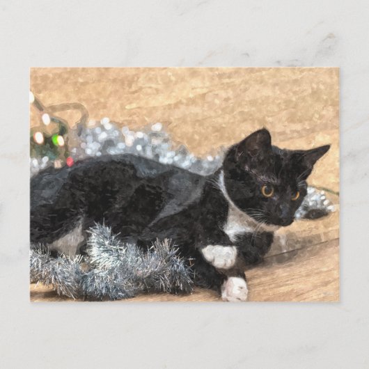 Carte postale Tuxedo Kitten Tinsel et Lights (Devant)