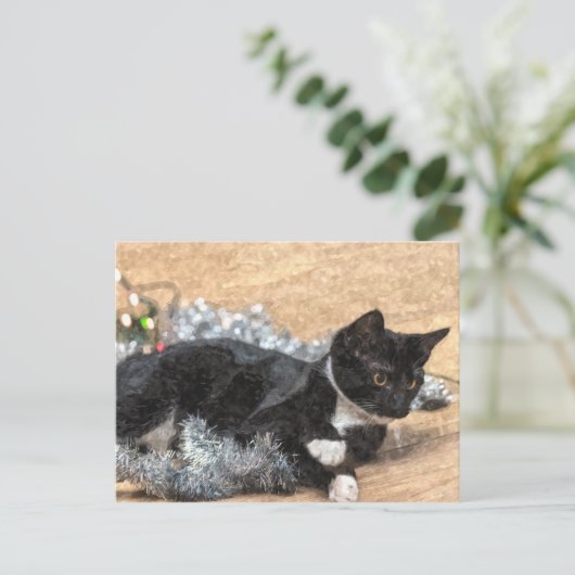 Carte postale Tuxedo Kitten Tinsel et Lights (Debout devant)