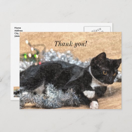 Carte Postale Tuxedo Kitten Tinsel et Lumières Message de Remerc (Devant / Derrière)