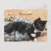 Carte Postale Tuxedo Kitten Tinsel et Lumières Message de Remerc (Devant)