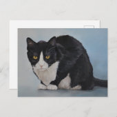 Carte postale Tuxedo noir blanc intérieur Shorthai (Devant / Derrière)