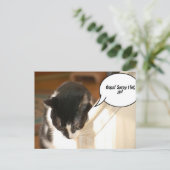 Carte Postale tuxedo noir et blanc Chat (Debout devant)