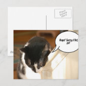 Carte Postale tuxedo noir et blanc Chat (Devant / Derrière)