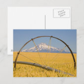 Carte Postale Tuyau d'irrigation en champ (Devant / Derrière)