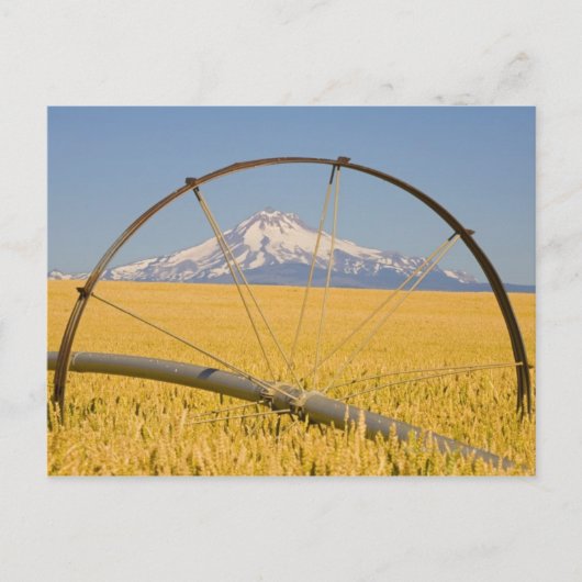 Carte Postale Tuyau d'irrigation en champ (Devant)