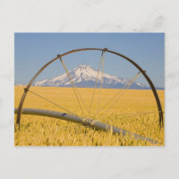 Tuyau d'irrigation en champ