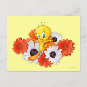 Carte Postale TWEETY™ avec marguerites