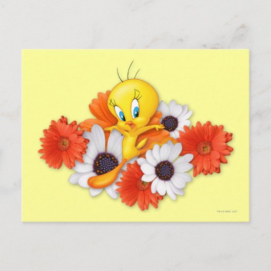Carte Postale TWEETY™ avec marguerites (Devant)