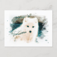 *~* Twig Renard Neige Renard Blanc AP18 Polar Arct