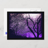 Carte postale Twilight haze (Devant / Derrière)