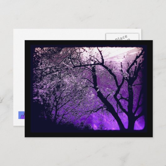 Carte postale Twilight haze (Devant / Derrière)