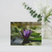 Carte Postale Twilight Lotus Serenity (Debout devant)