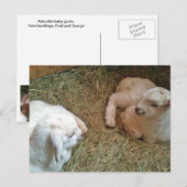 Carte Postale Twin Bucklings (Devant / Derrière)