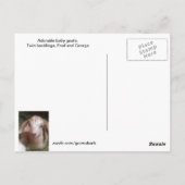 Carte Postale Twin Bucklings (Dos)