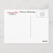 Carte postale Twin Butterfly (Dos)