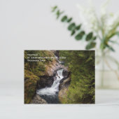 Carte postale Twin Falls (Debout devant)