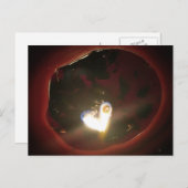 Carte Postale Twin Flame Heart (Devant / Derrière)
