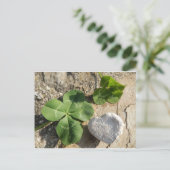 Carte Postale Twin Four Leaf Clover Irish Luck St. Patrick's Day (Debout devant)