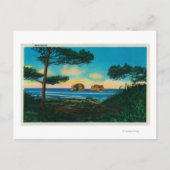 Carte Postale Twin Rocks sur la côte de l'Oregon (Devant)