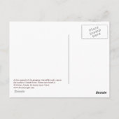 Carte postale Twisted Live Oaks (Dos)