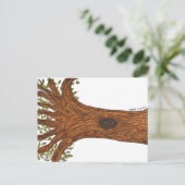 Carte Postale Twisted Tree Postcard (Debout devant)