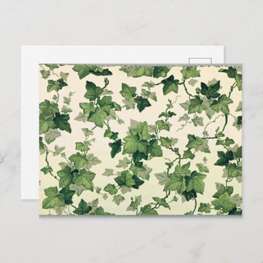 Carte Postale Twisting Ivy Feuille Motif (Devant / Derrière)