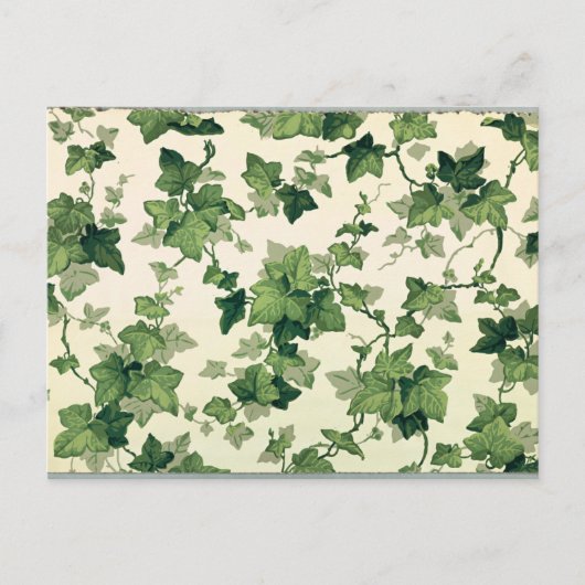 Carte Postale Twisting Ivy Feuille Motif (Devant)