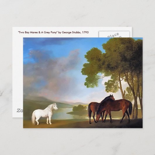 Carte postale : Two Bay Mare & a Grey Pony (Devant / Derrière)
