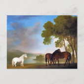 Carte postale : Two Bay Mare & a Grey Pony (Devant)