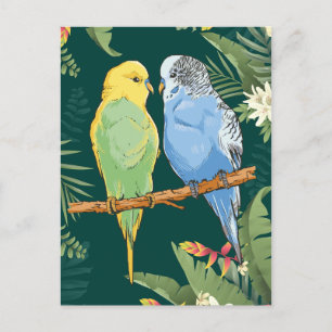Carte Postale Two cute bleu et Green Budgie