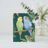 Carte Postale Two cute bleu et Green Budgie (Debout devant)