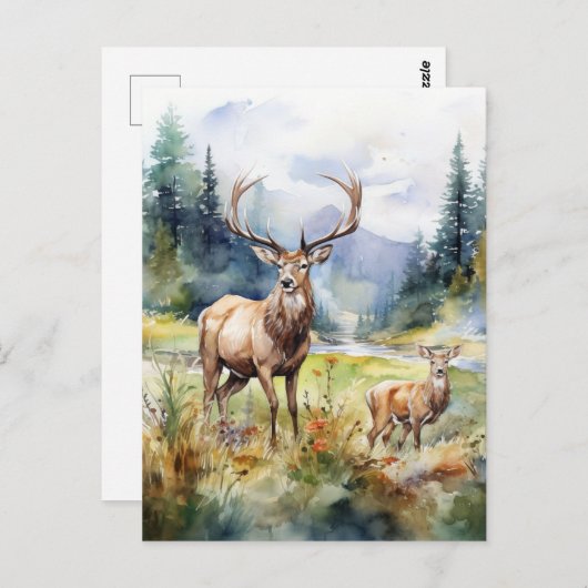Carte Postale Two Deer (Devant / Derrière)