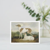 Carte Postale Two Greyhounds in a Landscape (Debout devant)