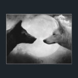 Carte Postale Two wolves facing each other<br><div class="desc">loup animaux animal canis, lupus mammifère animal animal chien, canine loups loups noir, lune blanche noir deux, faune créature art beau, visage prédateur alaska nature, en colère sauvage arctique dangereux, animal loup de nuit, canis lupus mammifère bête, chien canine loups loups</div>
