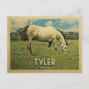 Carte Postale Tyler Texas Horse Farm - Vintage voyage