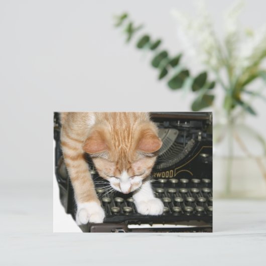 Carte Postale Types de chat Kitty (Debout devant)