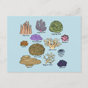Carte Postale Types de corail