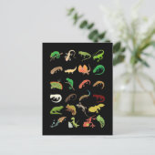 Carte Postale Types de reptiles Gecko Lézard mignon (Debout devant)
