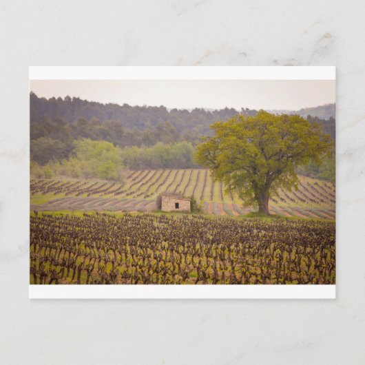 Carte Postale Typically french (Devant)