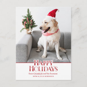 Carte Postale Typographie Festive Happy Holidays   Photo de chie