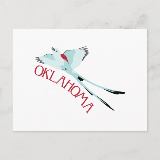 Carte Postale Tyran à longue queue (Devant)