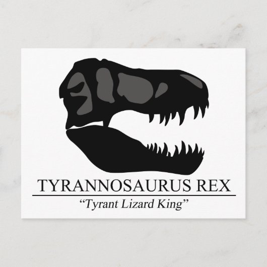 Carte Postale Tyrannosaure Rex (Devant)