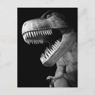 Carte Postale Tyrannosaurus Rex
