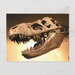 Carte postale Tyrannosaurus Rex
