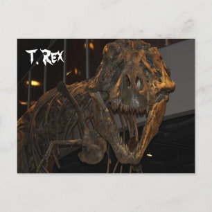 Carte Postale Tyrannosaurus Rex # 5
