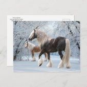 Carte postale "Tziganes de neige" (Devant / Derrière)