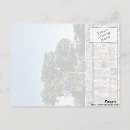 Carte Postale Tzompantli-Mur De Crânes, Chichen Itza (Dos)