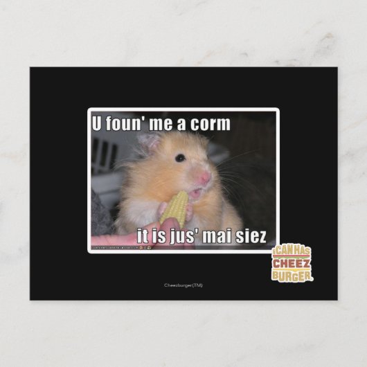 Carte Postale U m'a trouvé un maïs (Devant)